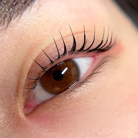 Korean Lash Lifting Course